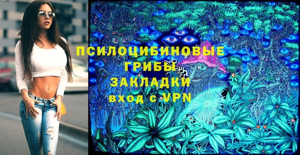 тгк Ельня