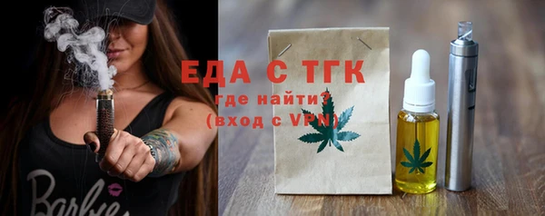 тгк Ельня
