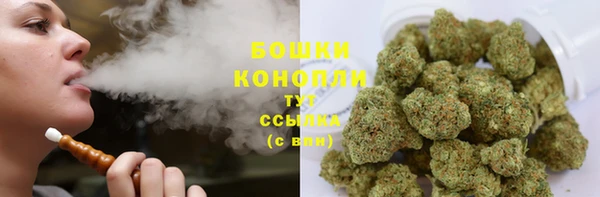 тгк Ельня