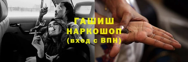 тгк Ельня