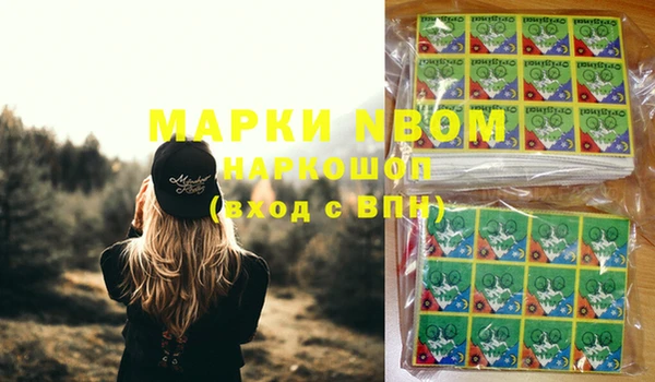 тгк Ельня
