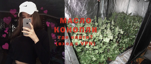 тгк Ельня