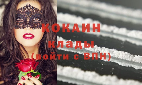 тгк Ельня