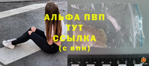 тгк Ельня