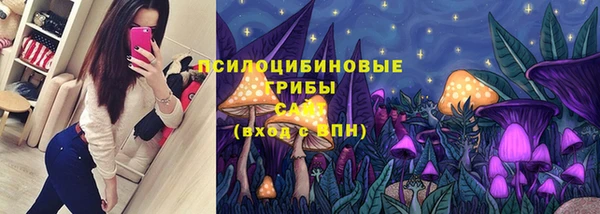 прущая мука Елабуга