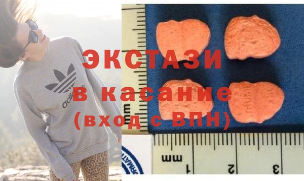тгк Ельня