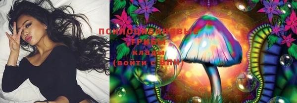 тгк Ельня