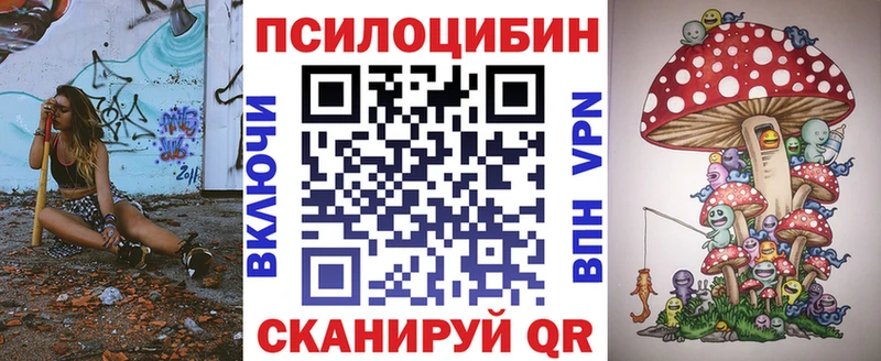 Псилоцибиновые грибы Psilocybine cubensis  продажа наркотиков  Ефремов 