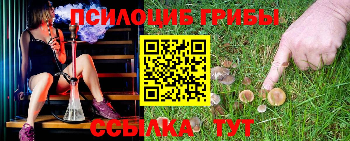 Псилоцибиновые грибы ЛСД Ефремов